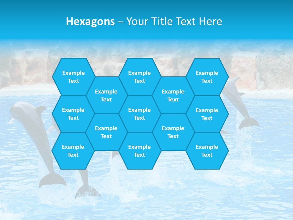 Tail Show Atlantic PowerPoint Template