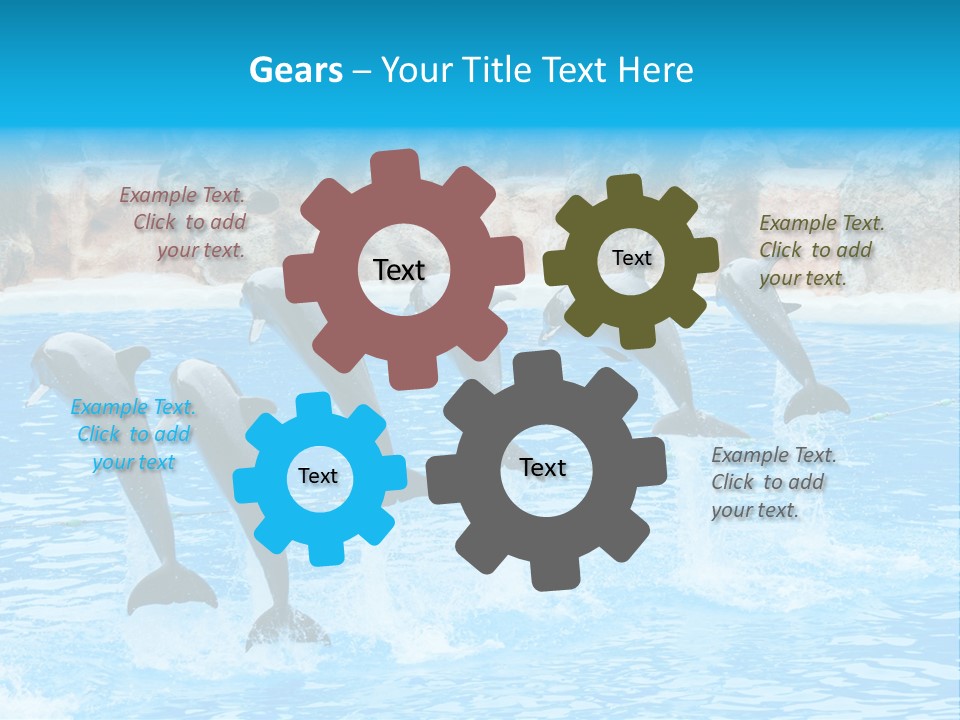 Tail Show Atlantic PowerPoint Template