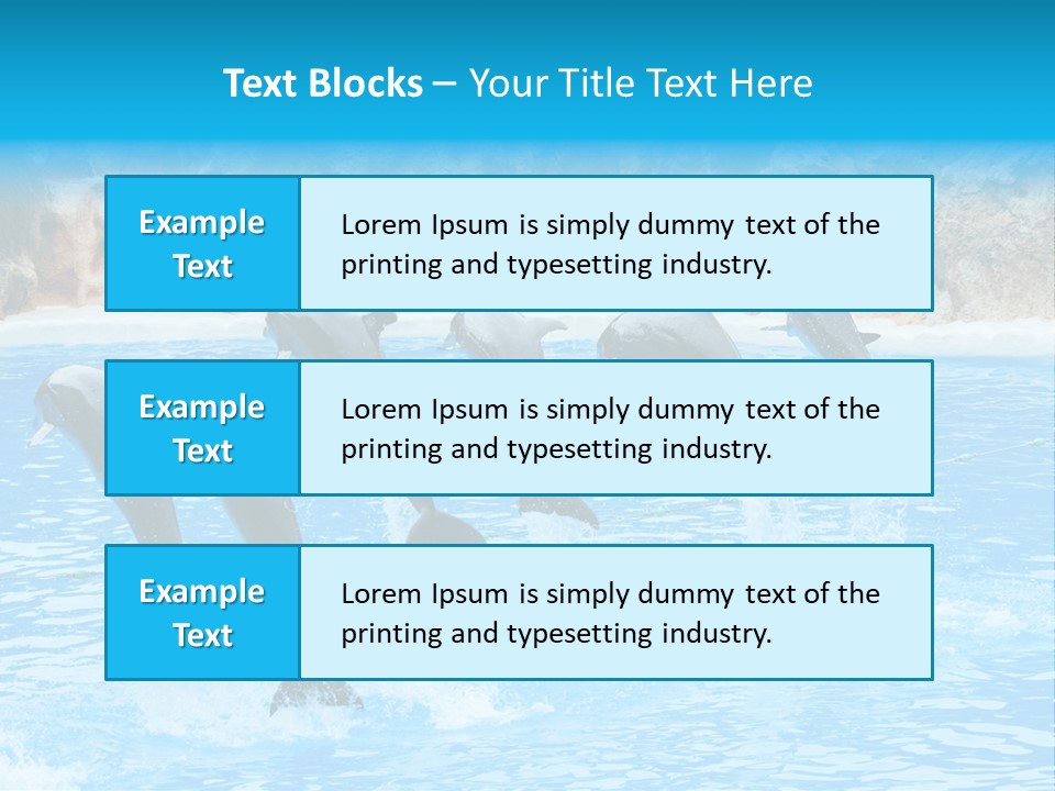 Tail Show Atlantic PowerPoint Template