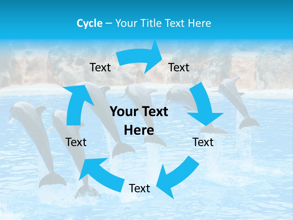 Tail Show Atlantic PowerPoint Template