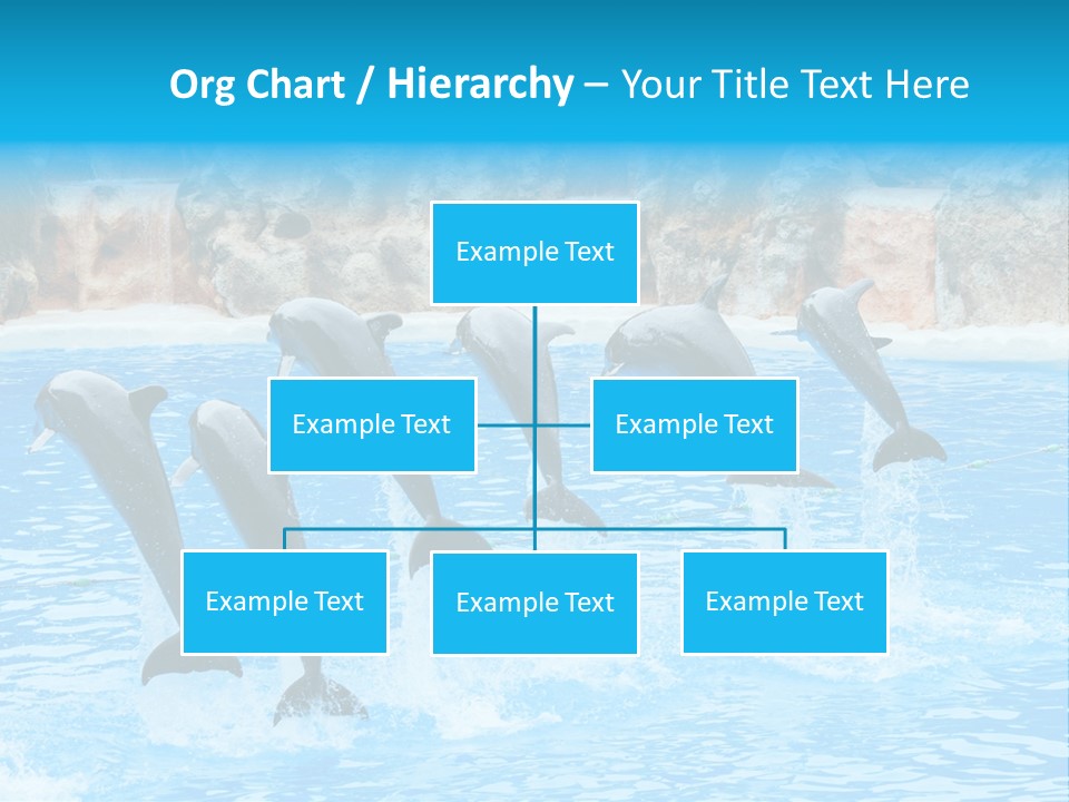 Tail Show Atlantic PowerPoint Template