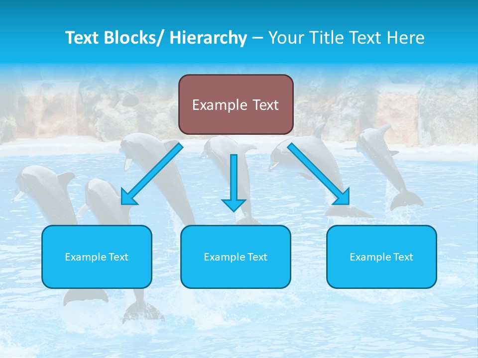Tail Show Atlantic PowerPoint Template
