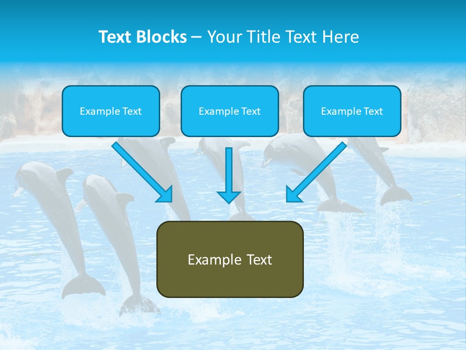 Tail Show Atlantic PowerPoint Template
