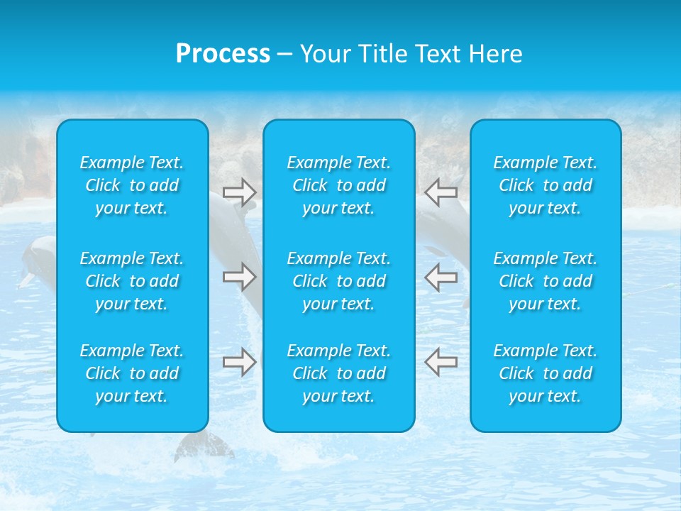 Tail Show Atlantic PowerPoint Template