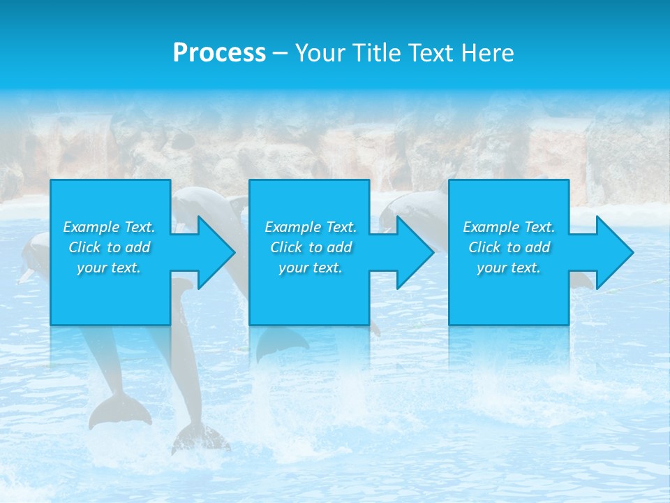 Tail Show Atlantic PowerPoint Template