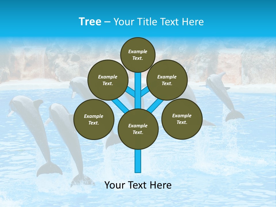 Tail Show Atlantic PowerPoint Template