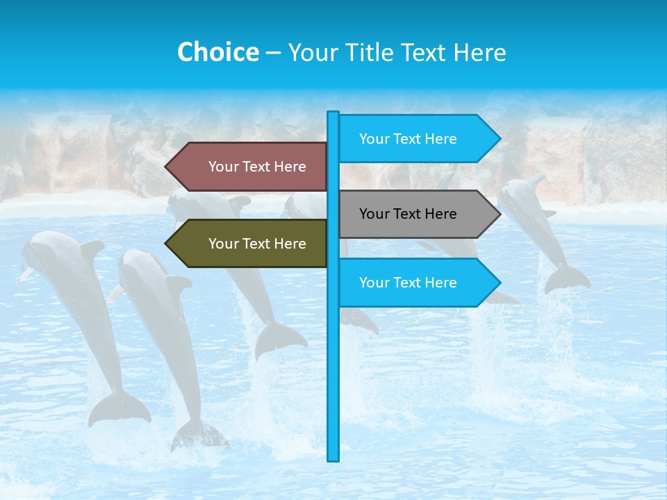 Tail Show Atlantic PowerPoint Template