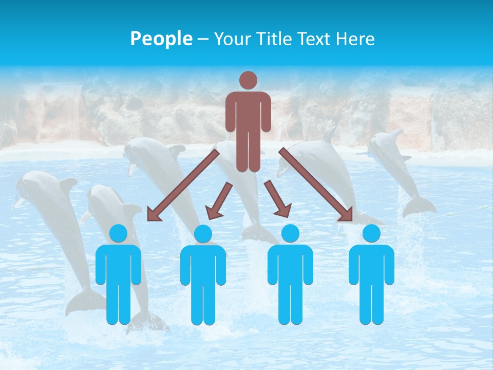 Tail Show Atlantic PowerPoint Template