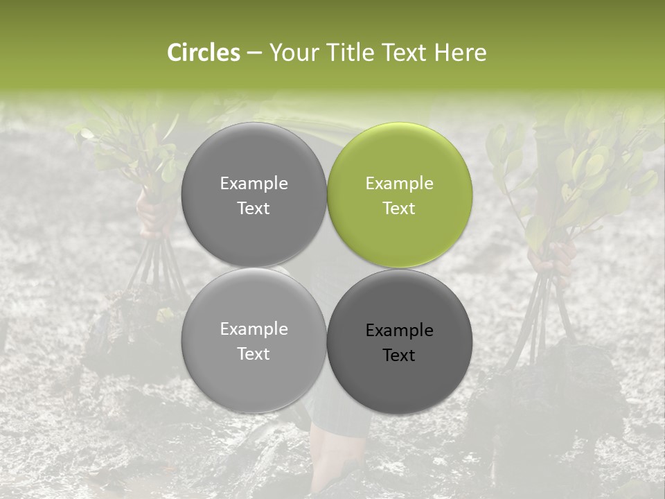 Conservation Holding Mud PowerPoint Template