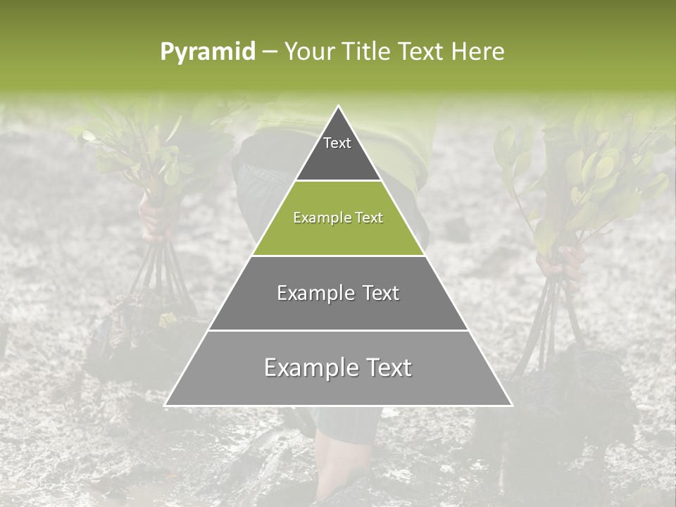 Conservation Holding Mud PowerPoint Template