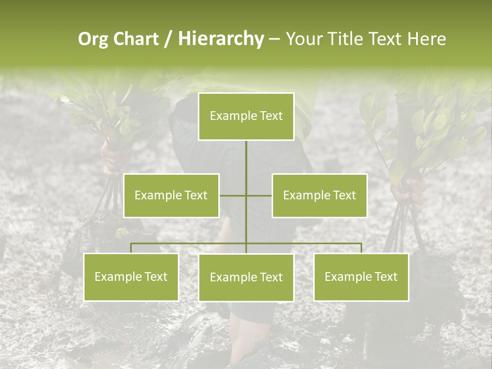 Conservation Holding Mud PowerPoint Template