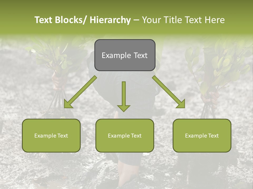 Conservation Holding Mud PowerPoint Template