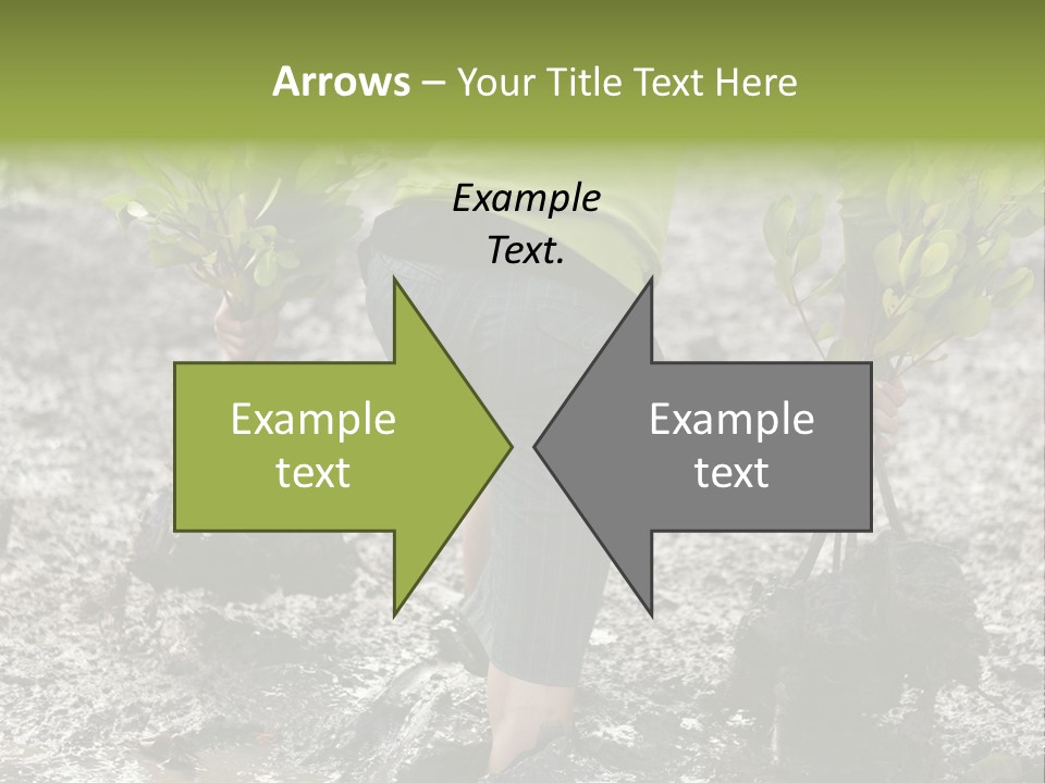 Conservation Holding Mud PowerPoint Template