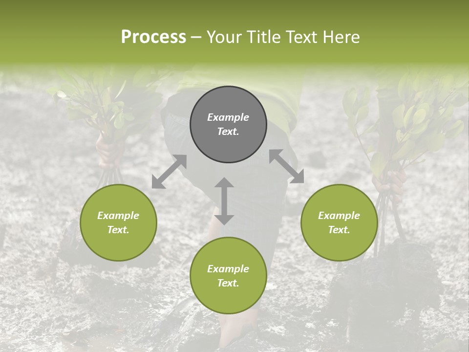 Conservation Holding Mud PowerPoint Template