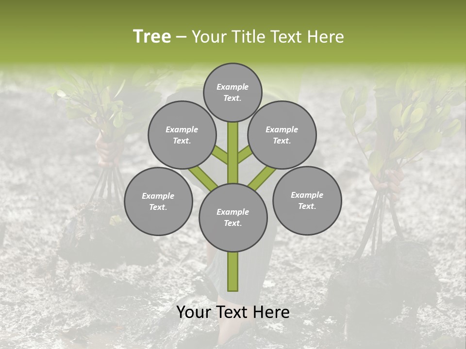 Conservation Holding Mud PowerPoint Template