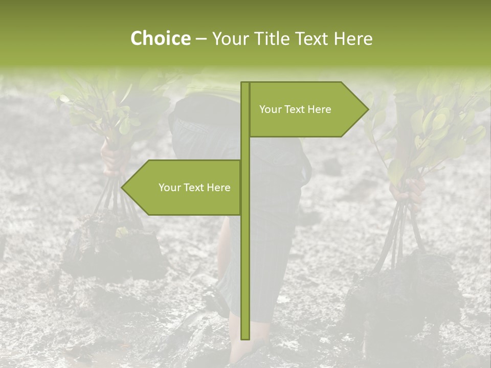 Conservation Holding Mud PowerPoint Template