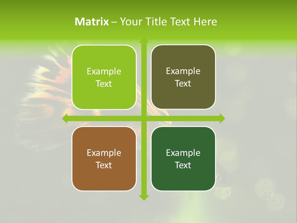 Colorful Tropical Fish Tank PowerPoint Template