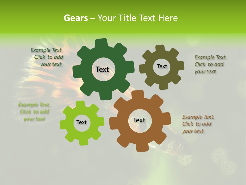 Colorful Tropical Fish Tank PowerPoint Template