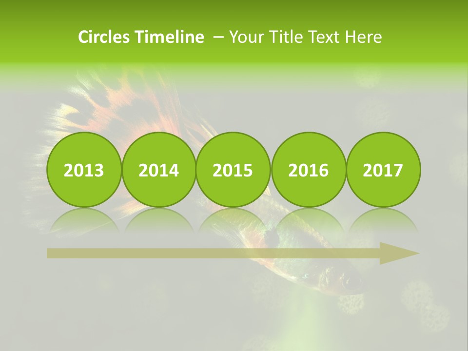 Colorful Tropical Fish Tank PowerPoint Template