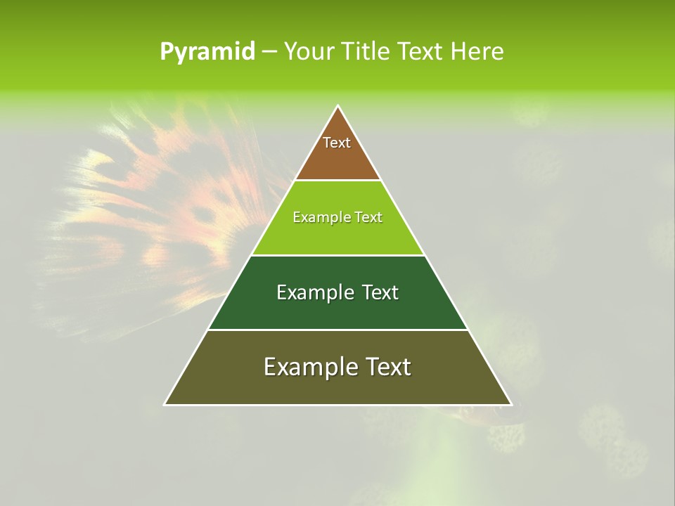 Colorful Tropical Fish Tank PowerPoint Template