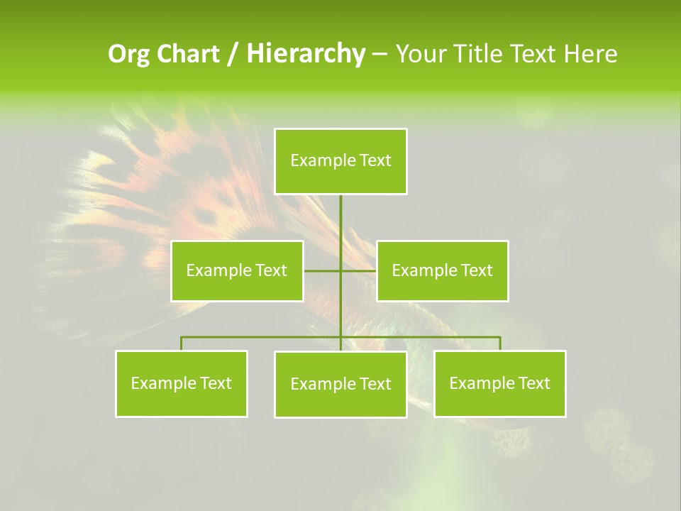 Colorful Tropical Fish Tank PowerPoint Template