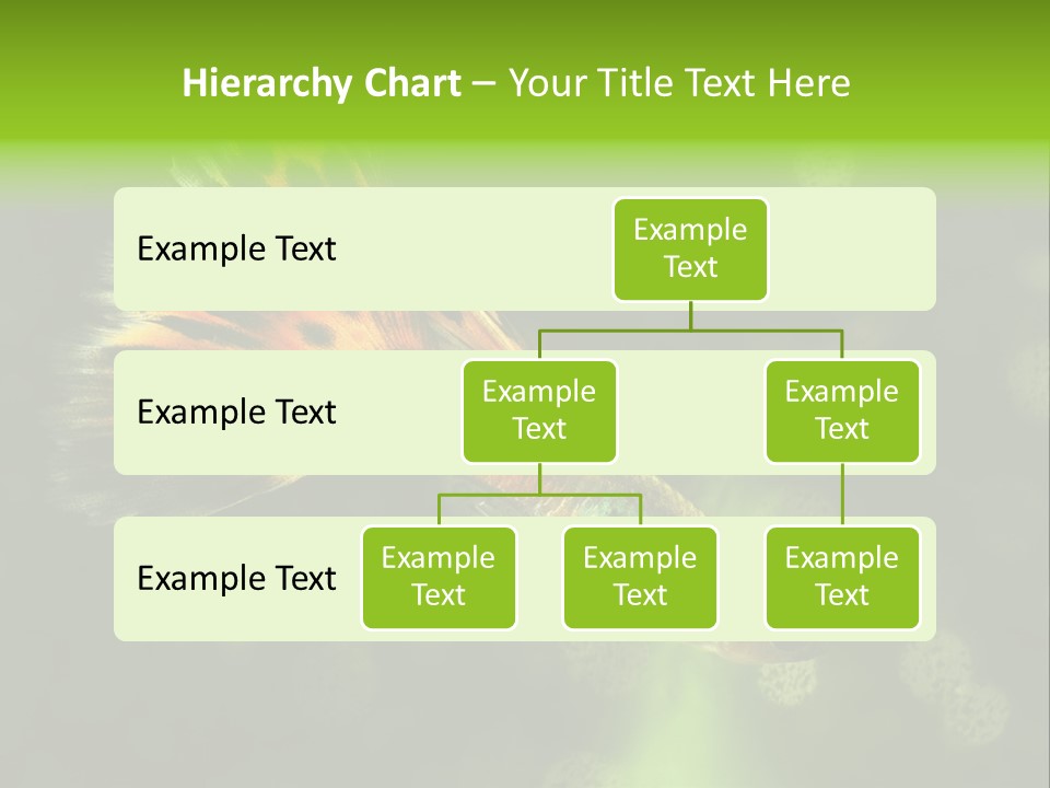 Colorful Tropical Fish Tank PowerPoint Template