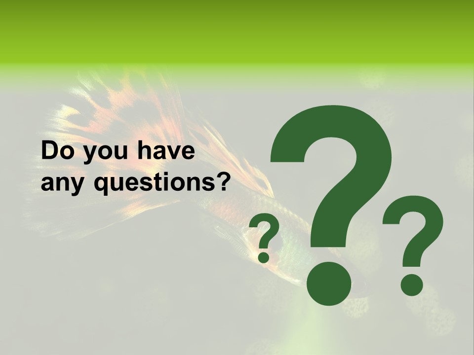 Colorful Tropical Fish Tank PowerPoint Template