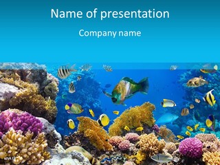 Deep Diving Blue PowerPoint Template