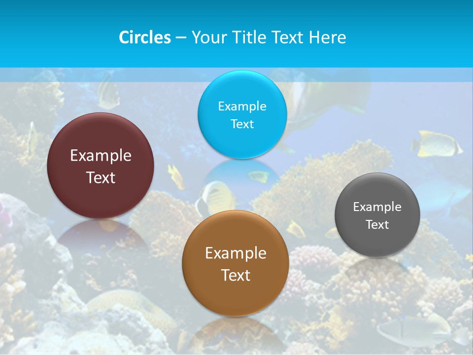 Deep Diving Blue PowerPoint Template