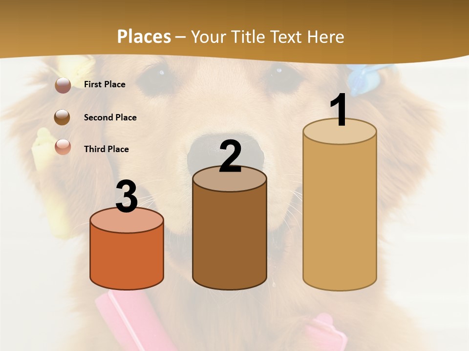 Beautiful Glamour Style PowerPoint Template