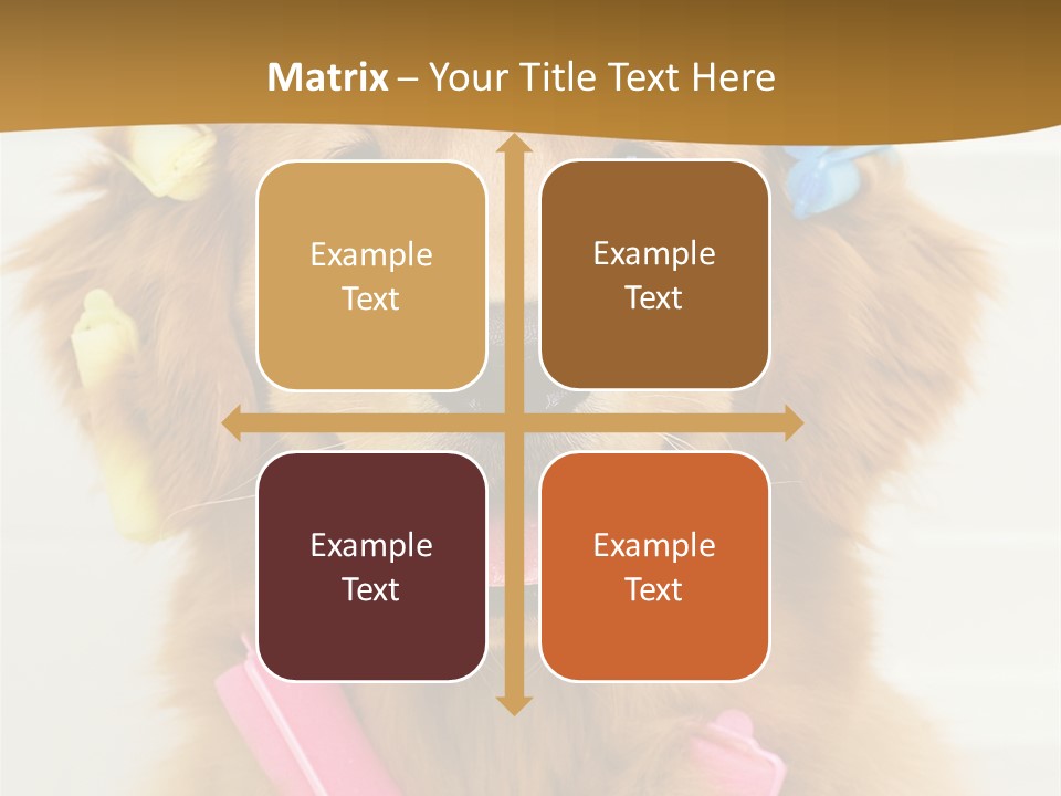 Beautiful Glamour Style PowerPoint Template