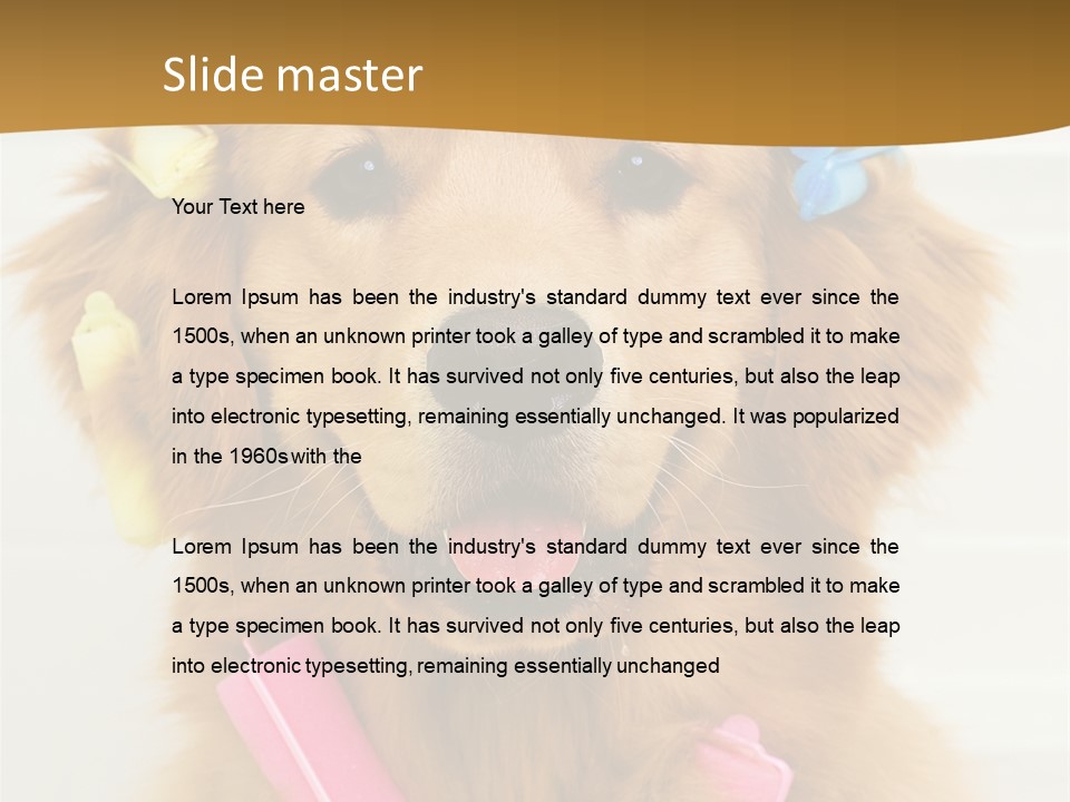 Beautiful Glamour Style PowerPoint Template