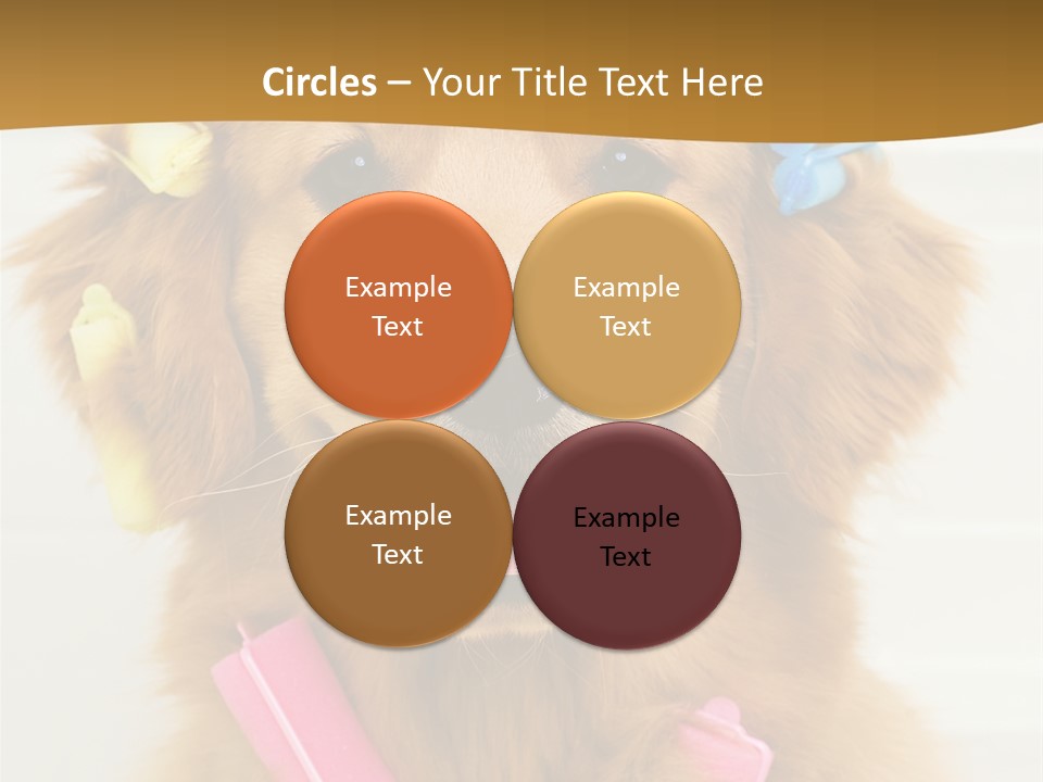 Beautiful Glamour Style PowerPoint Template