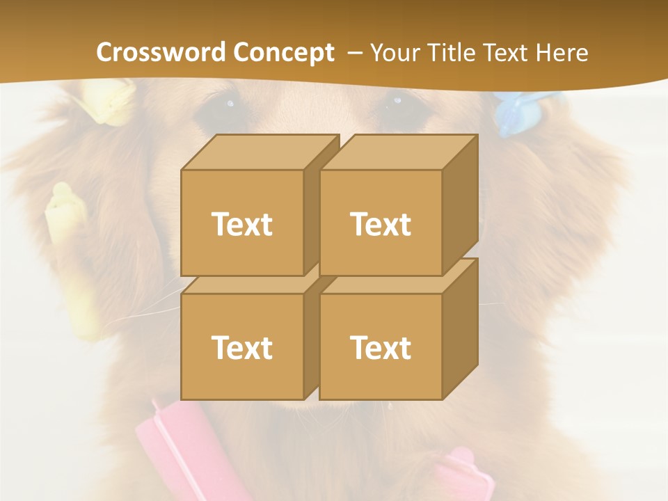 Beautiful Glamour Style PowerPoint Template