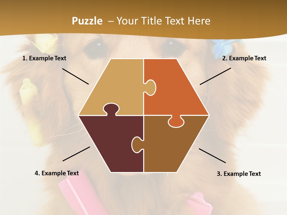 Beautiful Glamour Style PowerPoint Template