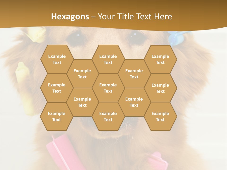 Beautiful Glamour Style PowerPoint Template