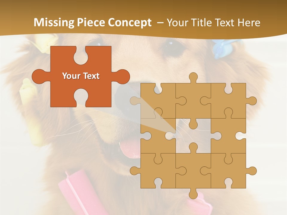 Beautiful Glamour Style PowerPoint Template