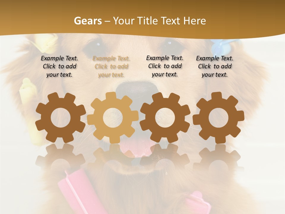 Beautiful Glamour Style PowerPoint Template