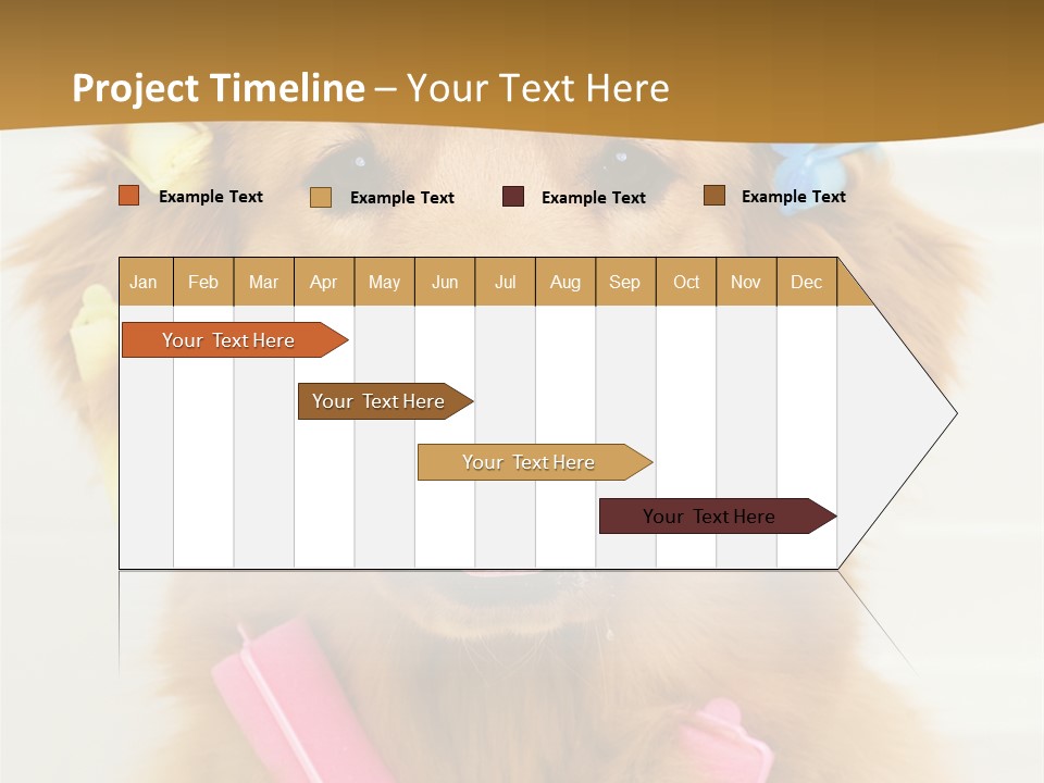 Beautiful Glamour Style PowerPoint Template