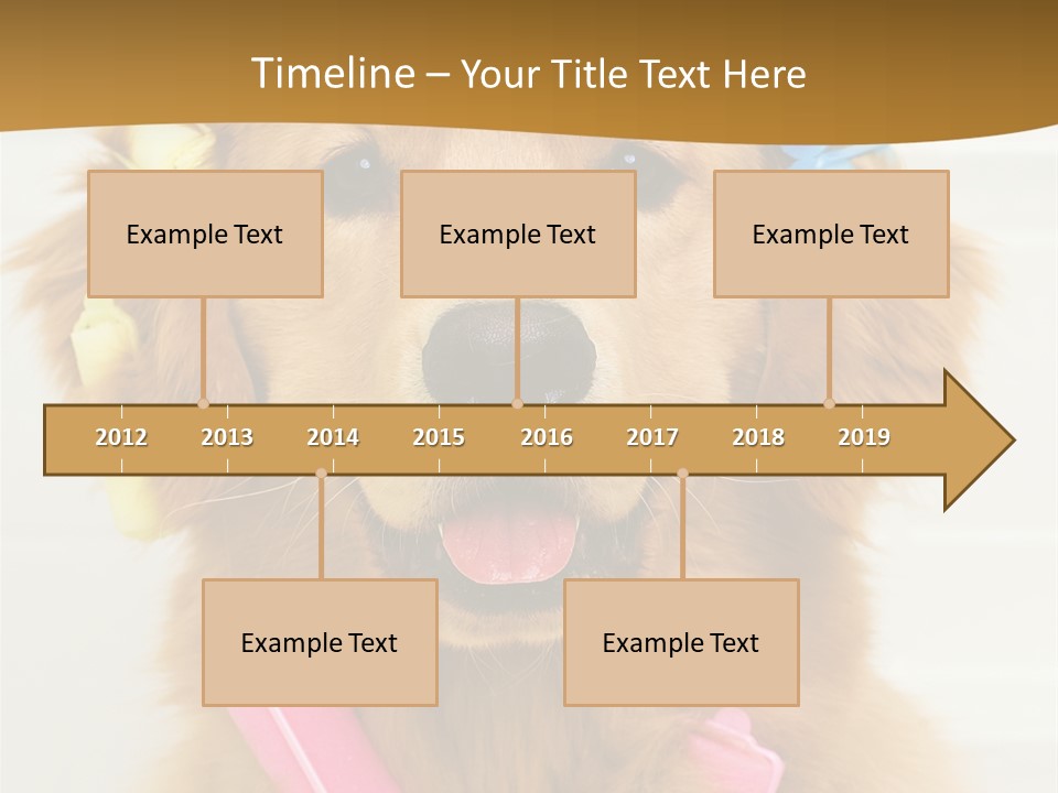 Beautiful Glamour Style PowerPoint Template