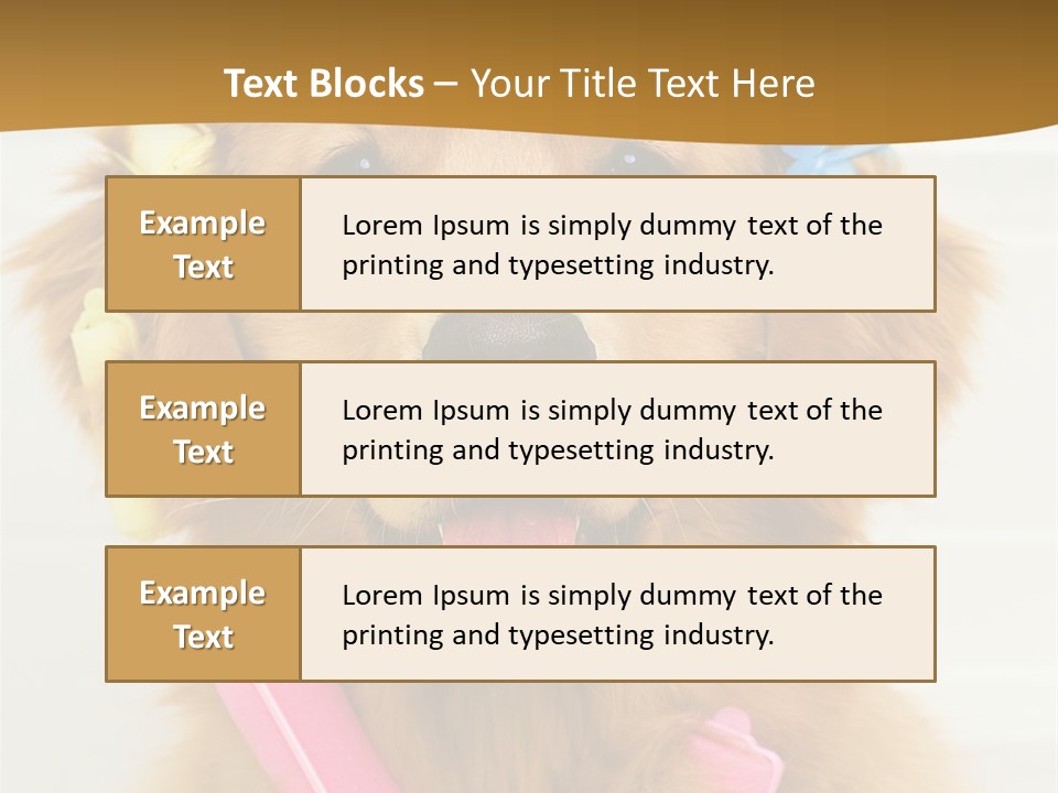 Beautiful Glamour Style PowerPoint Template