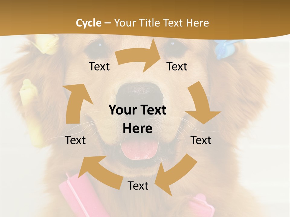 Beautiful Glamour Style PowerPoint Template