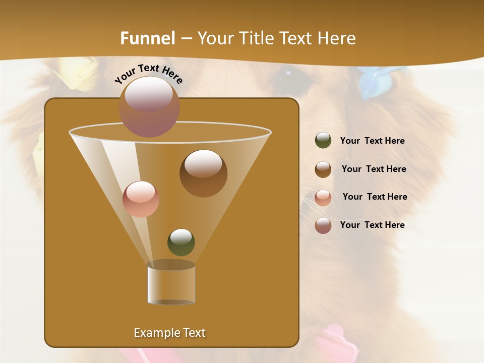 Beautiful Glamour Style PowerPoint Template