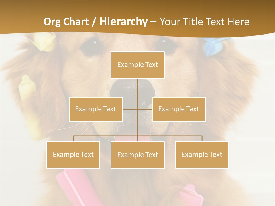 Beautiful Glamour Style PowerPoint Template