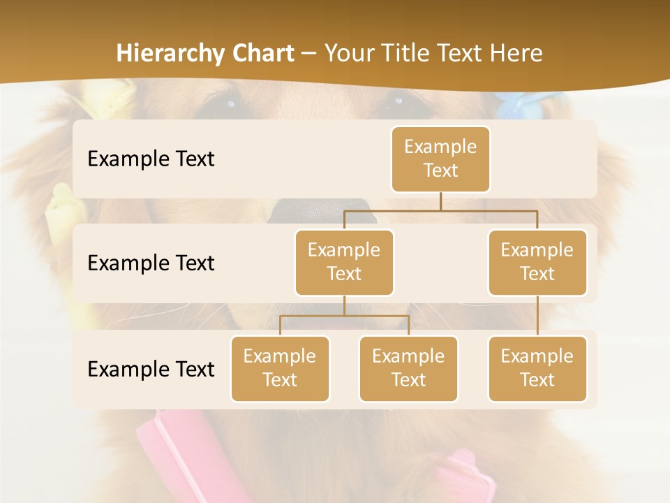 Beautiful Glamour Style PowerPoint Template