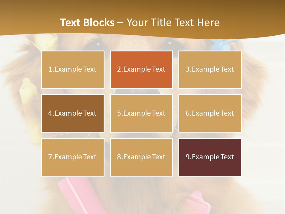 Beautiful Glamour Style PowerPoint Template