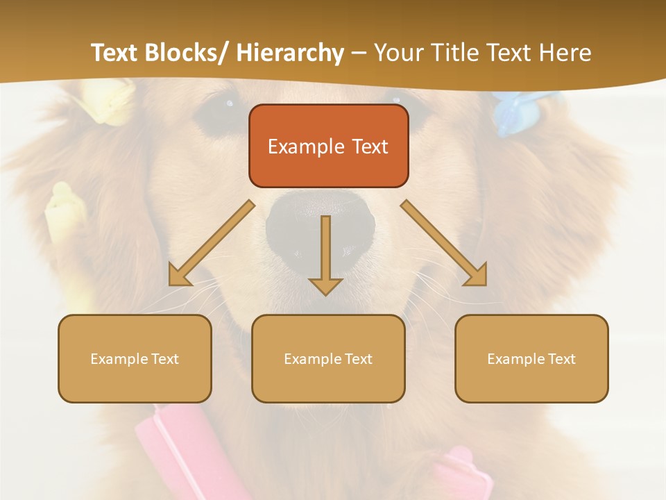 Beautiful Glamour Style PowerPoint Template