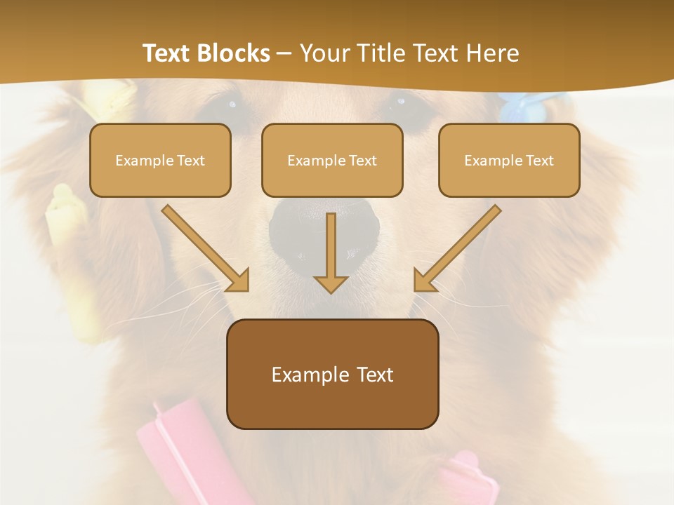 Beautiful Glamour Style PowerPoint Template