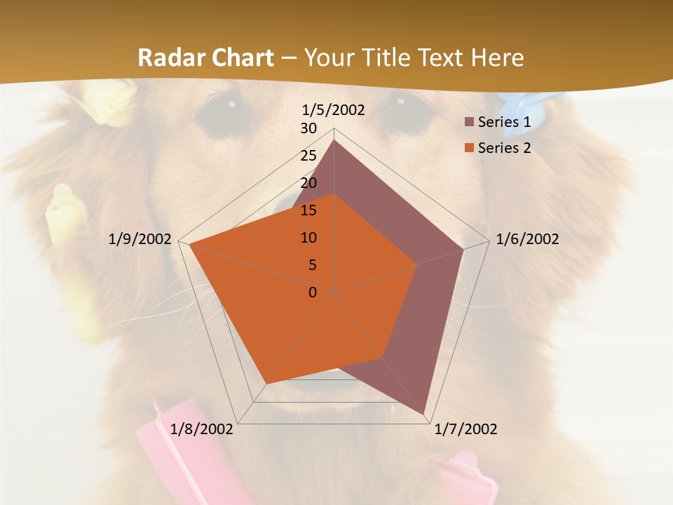 Beautiful Glamour Style PowerPoint Template