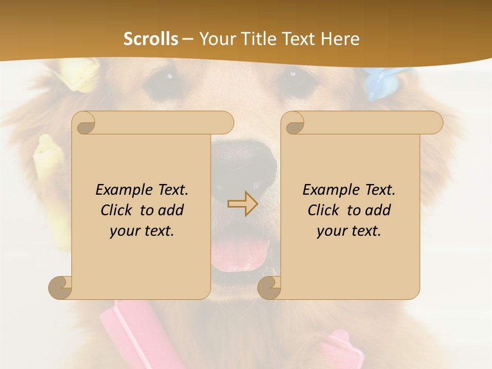 Beautiful Glamour Style PowerPoint Template